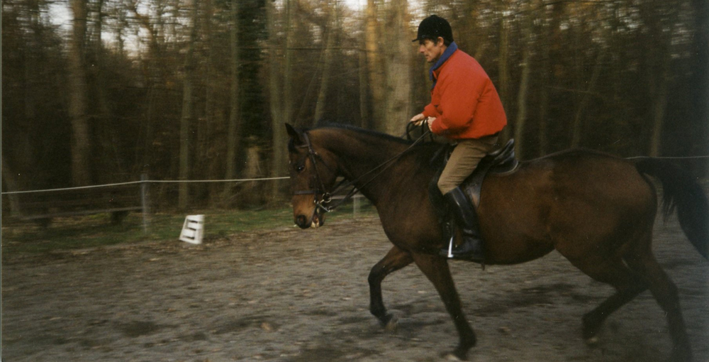 Cours d'équitation à domicile