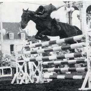 Scharnhorst  cheval du même nom que le fameux cuirassé allemand de la seconde guerre