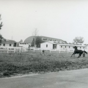 à l' ENE de Saumur . J ai participé a 2 stages : Un de dressage ,un de pédagogie ( Jean Luc Force)