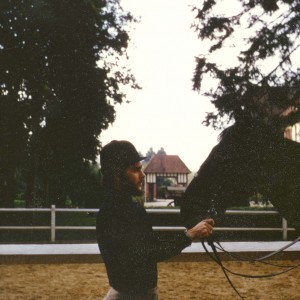 14 D