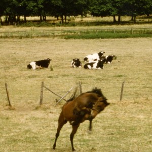 En Touraine