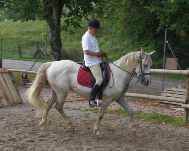 patrice-equitation