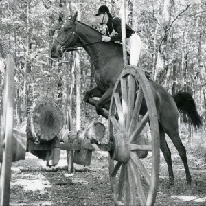 Saut de puce: Ce fardier précédé à 4m d'un  contre ht C.C 3 étoiles( ex 4 ème série de Craon en mayenne)